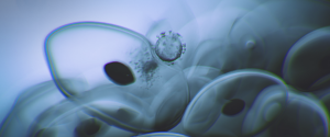 8b79c95f5b924b115985b4bad2dac720.png