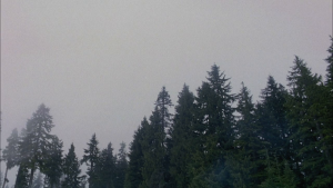 43ca5264a1cf70b88a53f4b2e5c481dc.png