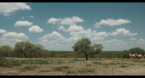 39104f1abf74615d3137b42f645536e5.png
