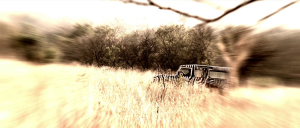 9fee55f772c5144a14d847b64e645aa9.png