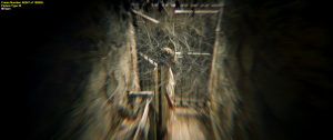 9554aa8c775d330544a5e38da894c39b.png