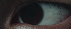 1e5203f1068fa89b62919062d8861ce8.png