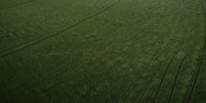 7de0d2191e26d4f6bfdfd93205645a00.png