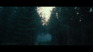 d7f86f096726847abf7cc2182c17e68d.png