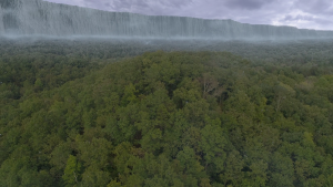 c52916c2ed694f588b3859836228155c.png
