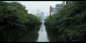 a2be07828e9ca39d32d9f0659174e0af.png