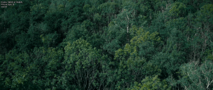 7f3ae660e6c0b7fa8eb7aa4f92fdeb60.png
