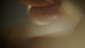 d27242e8402ded09e9448ff300edede2.png