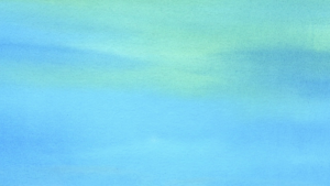 74ebbc514c9af002d0e575e5b8b4c56a.png