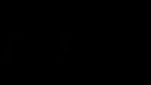 08e2881be4cb9ad7028bfd3311887828.png