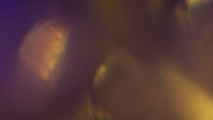 d530e3093e7ae8c52944758c2050665b.png
