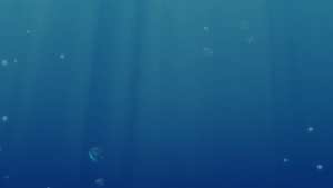 8cdc258dc78ee1a1c36bb51b44fdf151.png