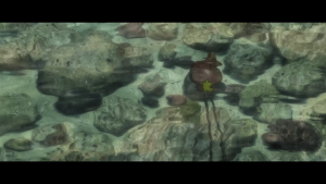 46f4e4f63554421052778b4f29de7f5a.png