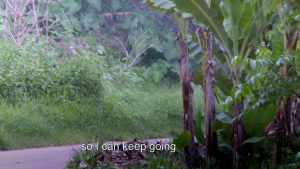 1fdc61a2ff1ea1d425f16bffc9650022.png
