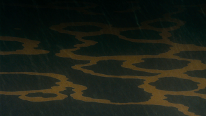 7243c7b338036628639d9ab7d4fe5e52.png