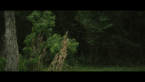 513098029e628d61013ccce72c9155cf.png