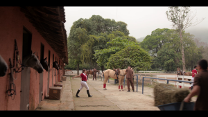acef5c05b2a94907cb697c052141b4f1.png