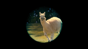 ea976f5eaef991f195f570268c7cb284.png