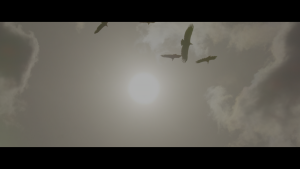 484eb29a99123f9cf8d5d174df8d73f9.png
