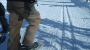 72f9ca85207b511cfc08d0019b9ba513.png
