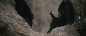 6b819553d1c1ecff5a4edcf1c4747693.png