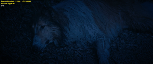 0c212924eb9a34aea5ed91bb7b4259d6.png
