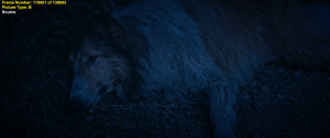 a80f50d6380e8b2f769e537fe28d314f.png