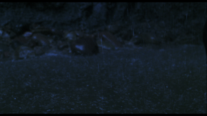 d01ccae57050c4a33107e3085689322d.png