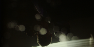 c564342f07bb1ff524a7c9a3e1b9a4bc.png