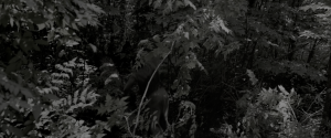 1ddb650ee1495b600f56e6b5f42ccf78.png