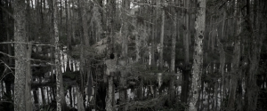 5b6d0cb838e3a1b189576d11e612bc1e.png