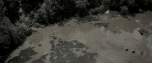 854c41af4d680dc30b488dedef4c9578.png
