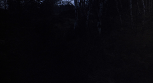 8e75d7bae260d77e40061e3a2ed41b49.png