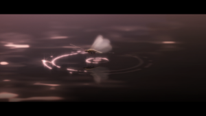 24f649069e9123e62603c460c1f8979c.png