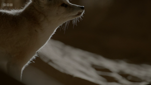 2444a9c16f5c8f156bf3a9f347294fc0.png