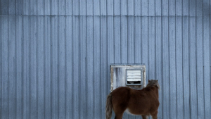 2a7266560af4ab5c89908ffe65a8398b.png