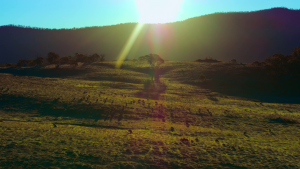 fa82c6c49e8a2e1978566e934fc68b32.png