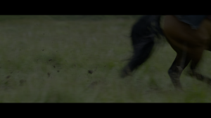 fe870dd57cc1392db6ef33310aa0c966.png
