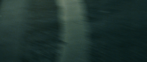 8d503f62c54bfd109a69ccf0e5683b61.png