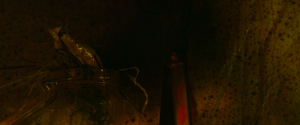 d5b6b9851128fa4041871048f419db67.png