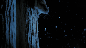 b319f0f651bf0e29ce68090add8a06ff.png