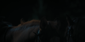 b2871cbd6cbfa68451b5d38b6145bafc.png