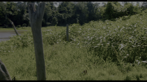 25f0d3363a330ad49ce5f9da2423ca5e.png