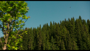 78124bbfc77a38781778fa746a5e16cb.png