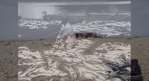 0125ca96c13e374489b9c91985d75845.png