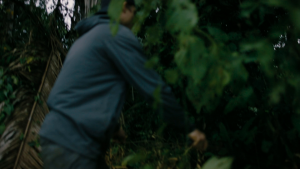 66a09749576fdf3f7d51b691c3b3fbc1.png