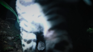 793b8d838f84735270ec60af627f9a80.png