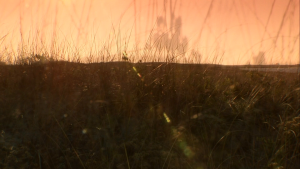 71c396e5b4daed4c4a098e4ff6c728b4.png