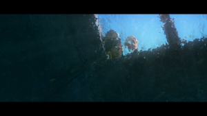 b791b515d1e81dea81f48160e50b0456.png