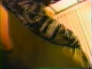 af5911fbcdd4dedd4d5edea8a675c1c0.png
